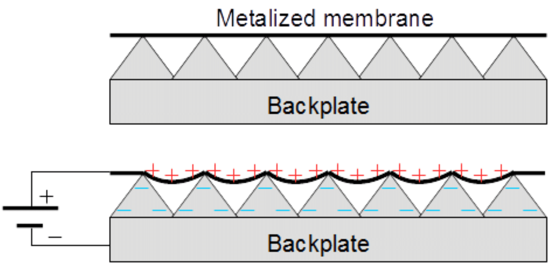 Electostatic transducer schematic diagram